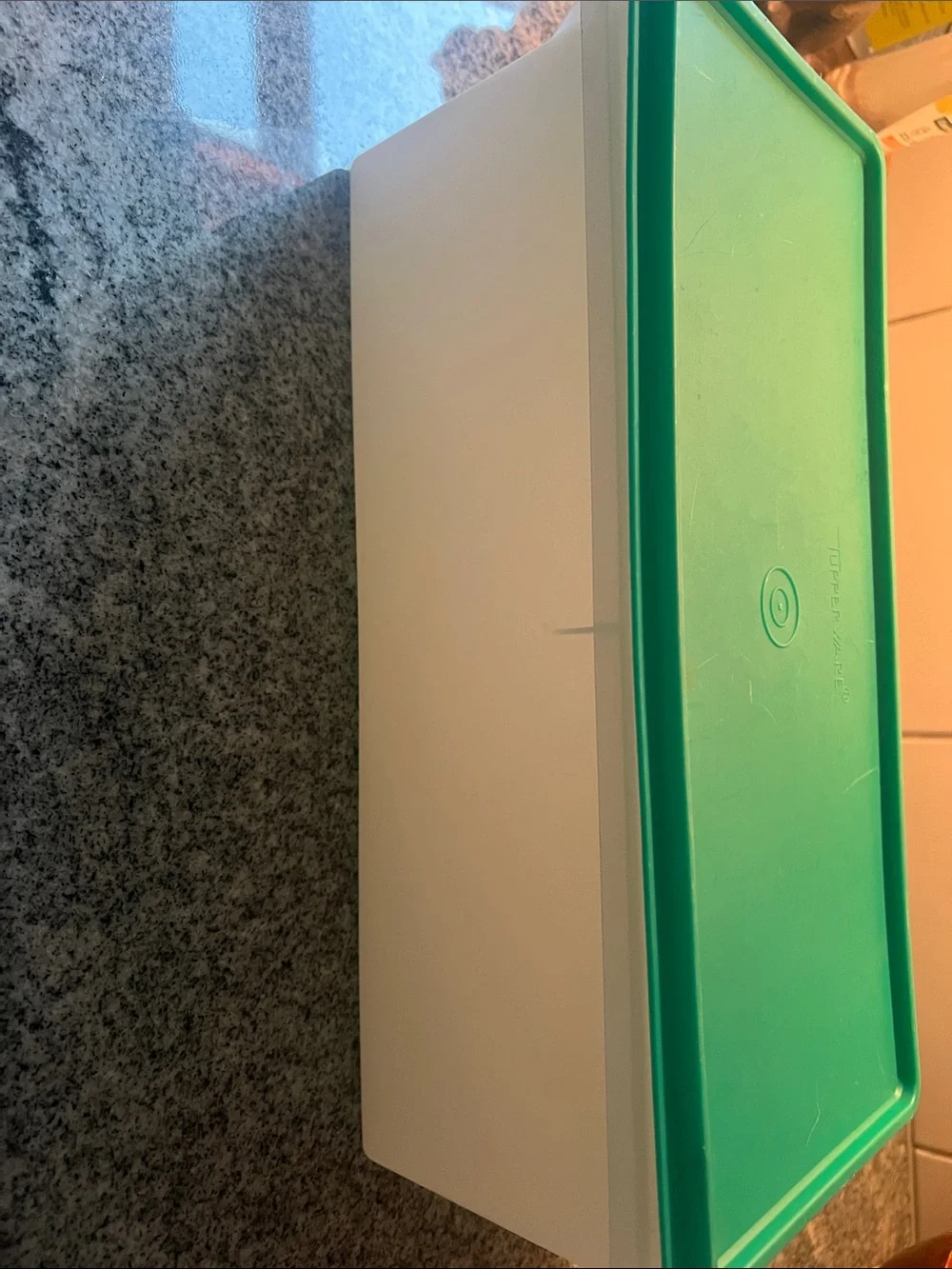 Tupperware Teal Rectangular Food Keeper